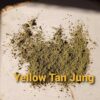yellow tanjung